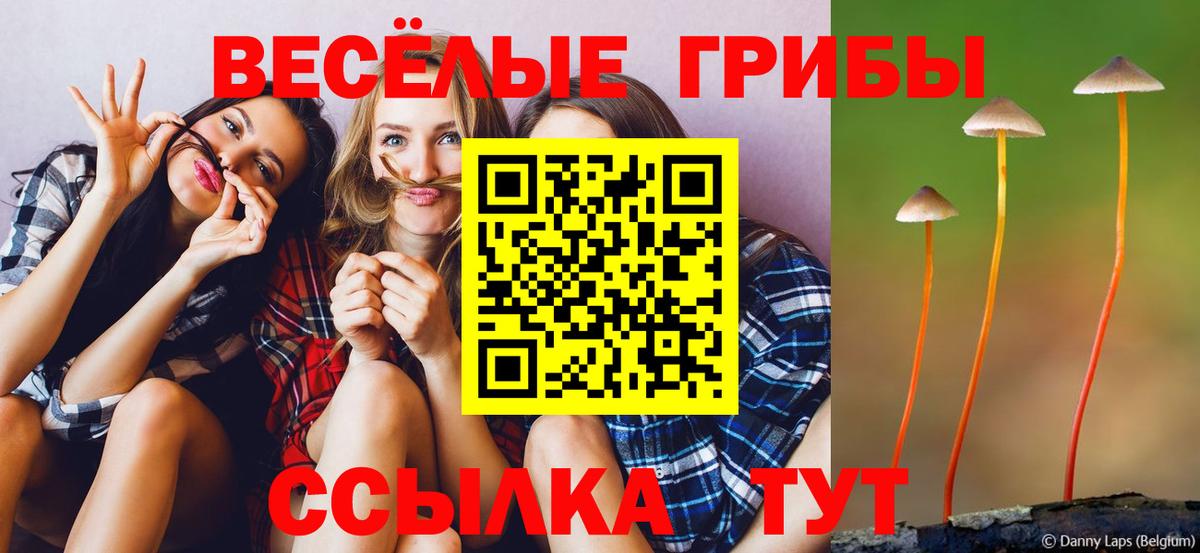 Вольск  Псилоцибиновые грибы ЛСД  Вход с VPN 